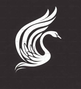 Anmutiger fliegender Schwan